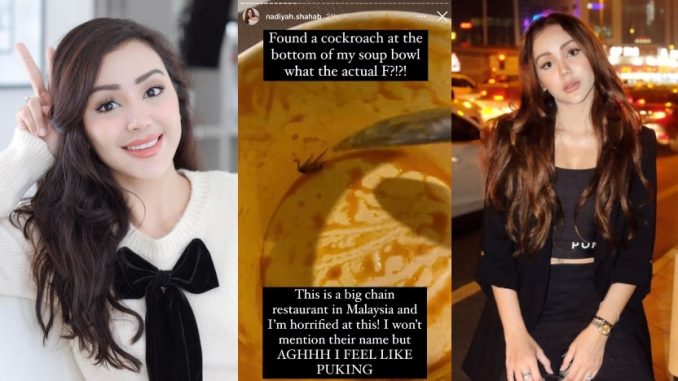 Nadiyah Shahab Kesal Jumpa Lipas Dalam Bekas Sup -“Ini Adalah Restoran Besar Di Malaysia …”_6013877d25538.jpeg