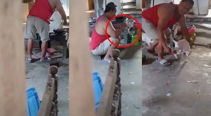 Lelaki Ini Pura-Pura Bagi Makan Kucing Lepas Disergah, “Pandai Dia Cover”_608f617eba44b.jpeg