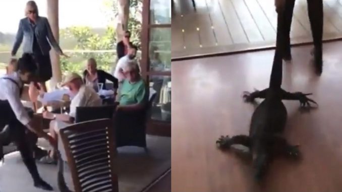 Pelayan restoran selamba tarik biawak keluar, “Naikkan gaji dia…”_60960b81dd6df.jpeg