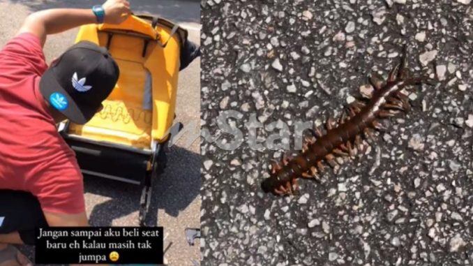 Cemas! Nampak lipan keluar dari beg tangan ketika memandu, reaksi spontan gadis ini memang padu… mula-mula BF tak percaya, lepas itu gigih punggah kerusi! – Viral | mStar_60ebdd02c3b49.jpeg