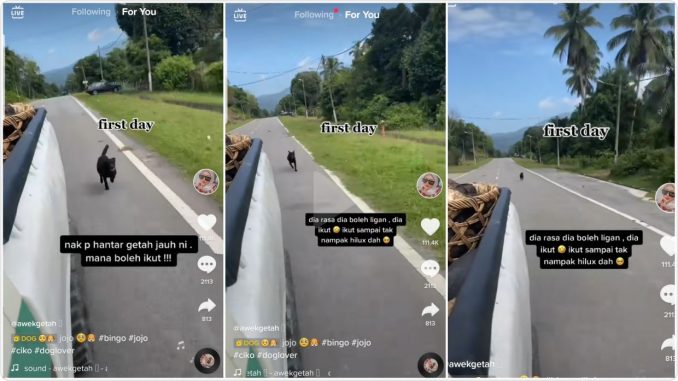 Dulu takut, sekarang manja… telatah 3 anjing hilangkan penat bekerja, anak tauke getah akui haiwan peliharaan sanggup mati demi tuannya – Viral | mStar_60e044e207a57.jpeg