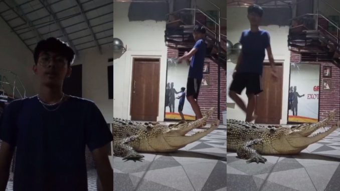 Lebih 14 Juta Tontonan, Lelaki Selamba Menari Tik Tok Dengan Buaya_60fe424c4c012.jpeg