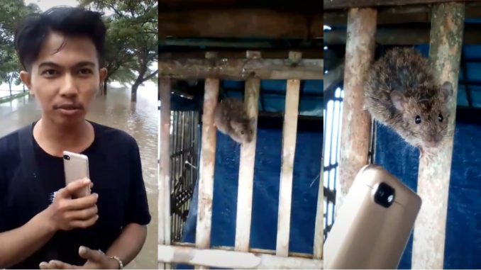 Lelaki Interview Tikus Jadi Mangsa Banjir, “Tolong Jangan Rakam…”_60f57aed22f31.jpeg