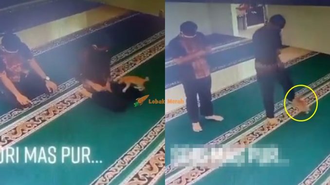 “Nampak macam takut kucing”- Oyen Buat Hal Lagi, Kali Ini Kacau Orang Sampai Terpaksa Berhenti Solat_60fd4b4fb53e2.jpeg