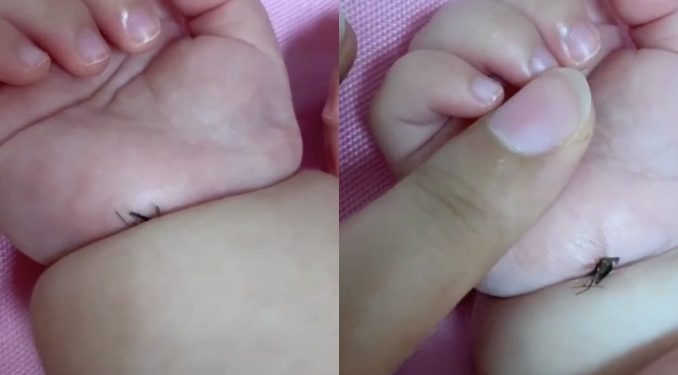 Nyamuk ‘Tumpas’ Di Celah Tangan Gebu, “Ingatkan Pakai Gelang Tadi”_6100a5bf25d2e.jpeg