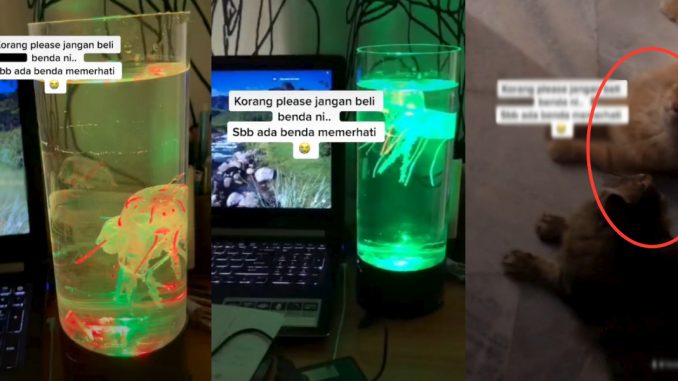 Obor2 mainan pula viral diminta jangan beli sebab ‘berhantu’, rupanya diperhati 2 si comel_60f413dd75066.jpeg
