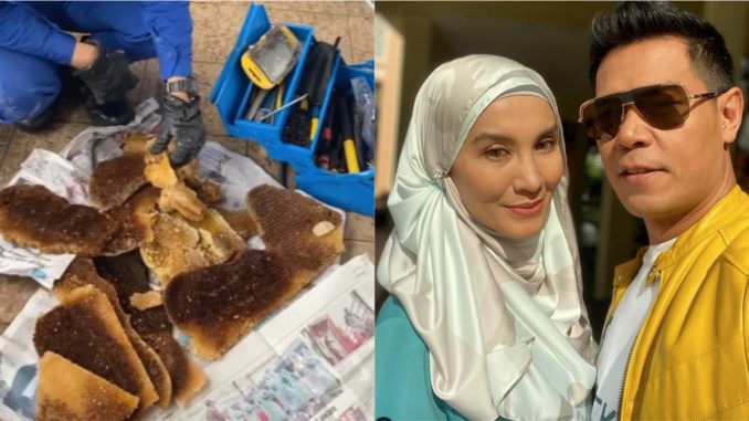 Rumah Fauzi Nawawi, Lisdawati Diserang Ratusan Lebah Sampai Buat Sarang – CARI_60e99a9168e72.jpeg