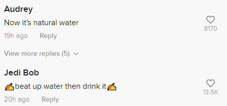 anjing minum air