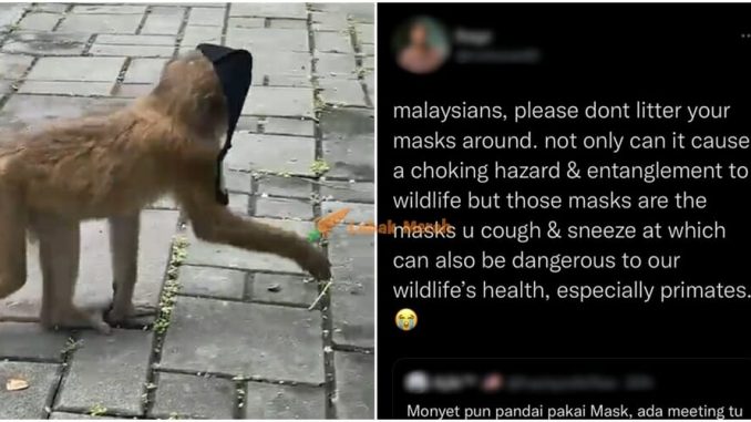 “Monyet pun boleh dapat penyakit la” – Netizen ‘Sound’ Individu Suka Buang Mask Bersepah, Lepas Tengok Video Ni_6125d22402834.jpeg