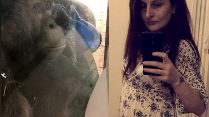 Penuh emosi… anak orang utan cium ‘baby bump’ wanita hamil menerusi dinding kaca – Dunia | mStar_6121a9a09d8be.jpeg