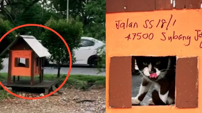 Terkejut netizen bila ada yang jumpa rumah kucing, “Siap alamat, senang JNT cari”_611c576fd3b49.jpeg