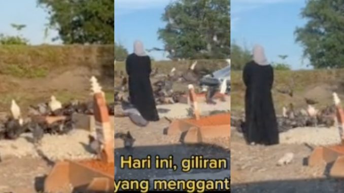 (Video) Suka Bagi Makan Kat Burung-Burung Di Kubur, Pusara Ayah Dipenuhi Burung Lepas Meninggal Dunia_61245edd86eba.jpeg