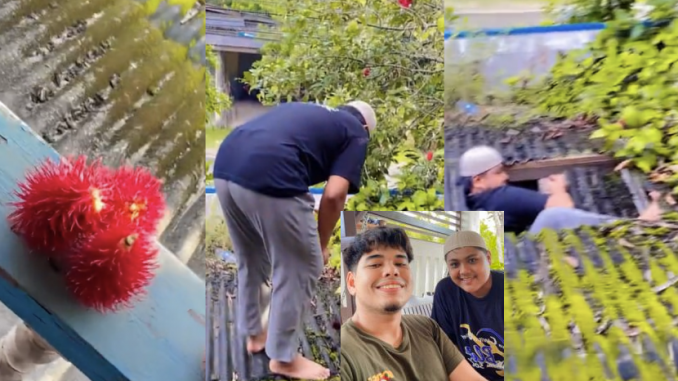 Geram tengok rambutan lebat, pemuda panjat bumbung rumah arwah nenek… siapa sangka sekelip mata terjerit-jerit panik – “Lima minit duduk celah atap” – Viral | mStar_613d98c729d0f.png