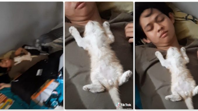 Kucing Dan Tuan Sama-Sama Tidur Terlentang, “Comelnya Terk4ngkang Tidur…”_6229e6942c82f.jpeg