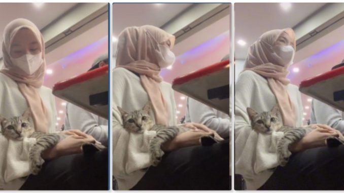 Kucing Duduk Di Pangkuan Gadis, Telatah Manjanya Pula Buat Ramai ‘Cair’, “Comel G1la…”_62288c88534e2.jpeg