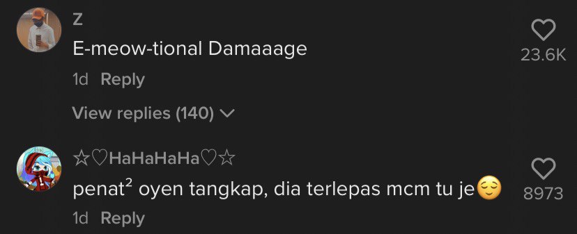 Image from @cat_dog.story (TikTok)