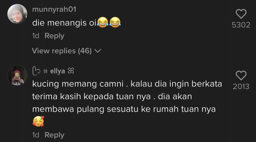 Image from @cat_dog.story (TikTok)