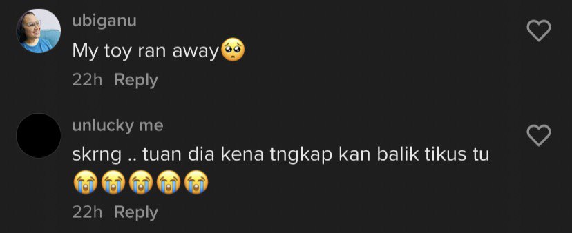 Image from @cat_dog.story (TikTok)