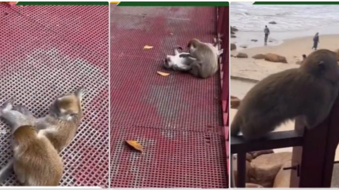 “Dah Tahu Single, Duduk Situ Kenapa” – Kan dah murvng Tepi Tiang_63da36f5b9b09.jpeg