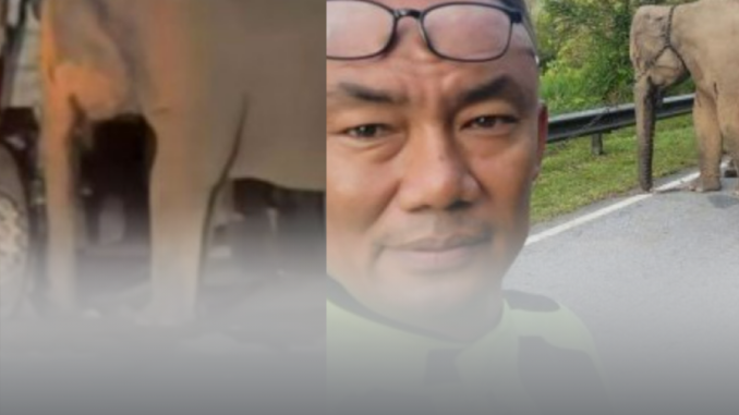 Zafirah Keramat Viral Artikel Image - 2025-05-12T135546.855